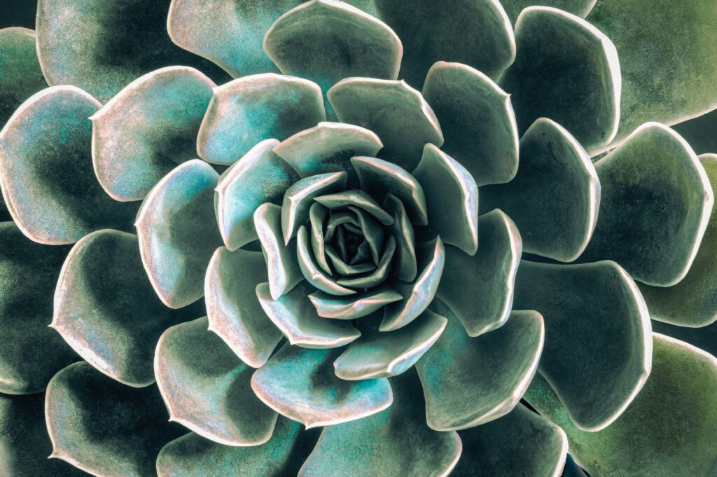 Photo by Jan Kopřiva on Unsplash