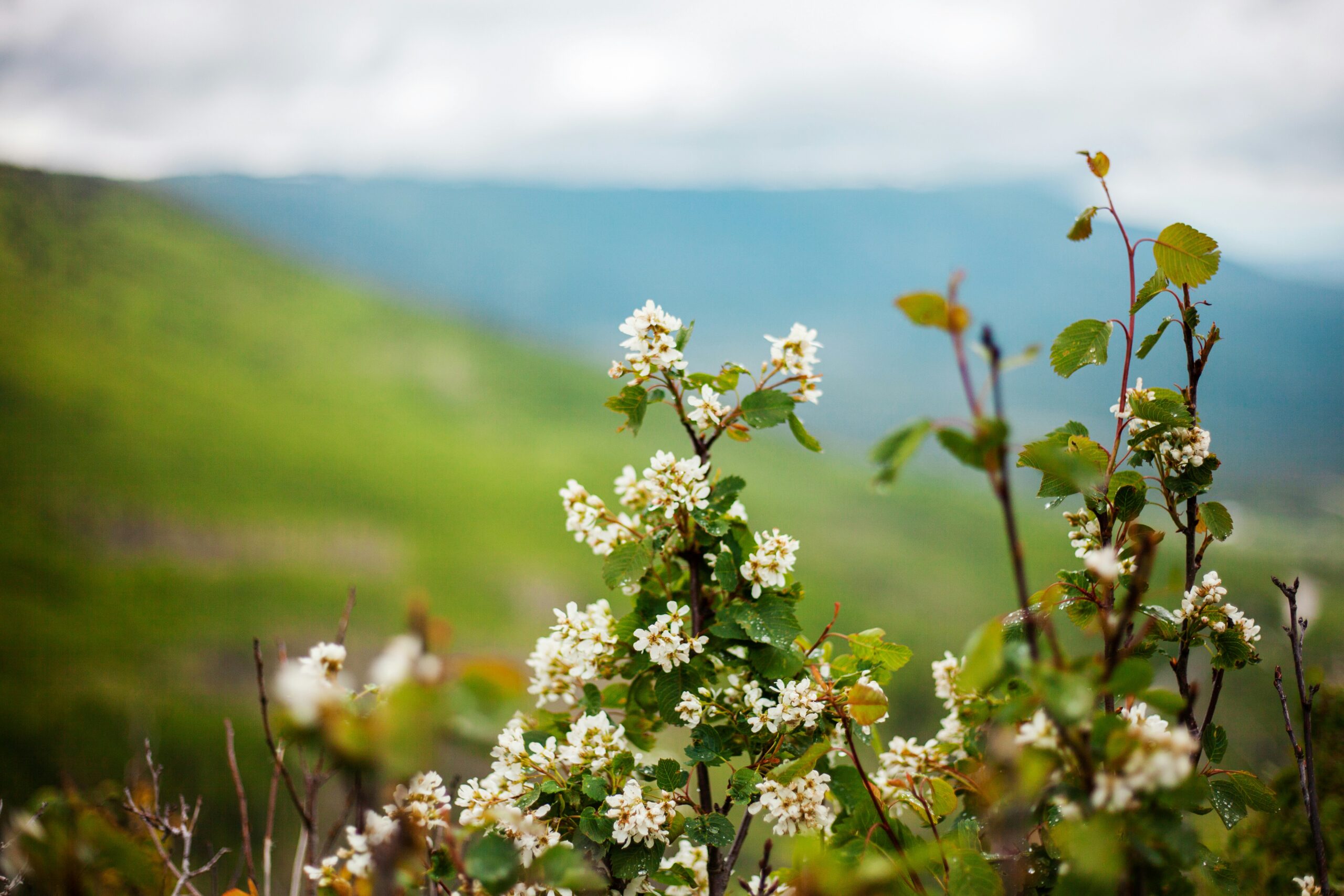 Photo by Taylor Kidd on Unsplash
