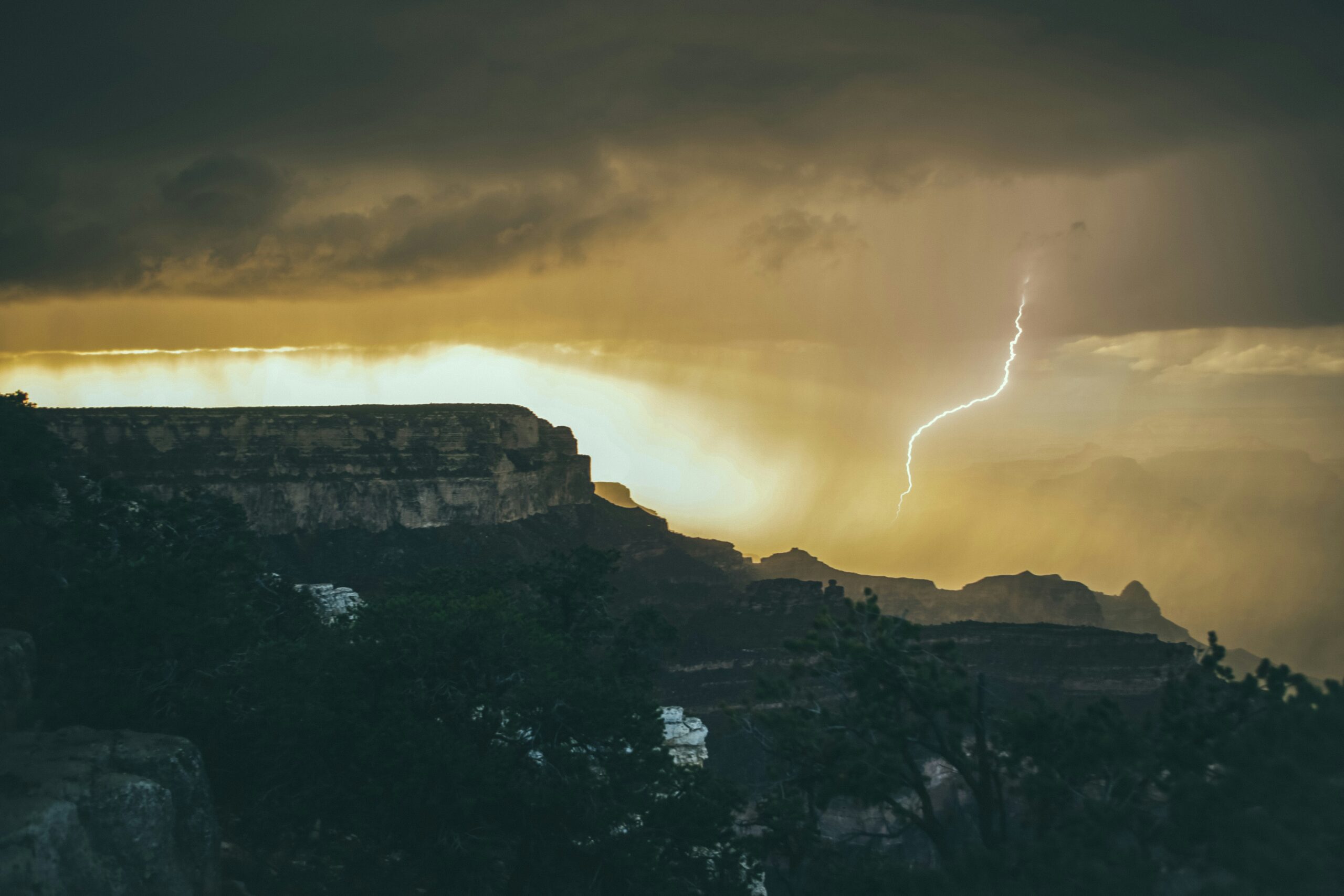 Photo by Tim Trad on Unsplash
